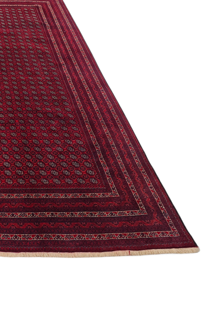 Wine Red Khoja Roshnai, Hand-Knotted Wool Rug