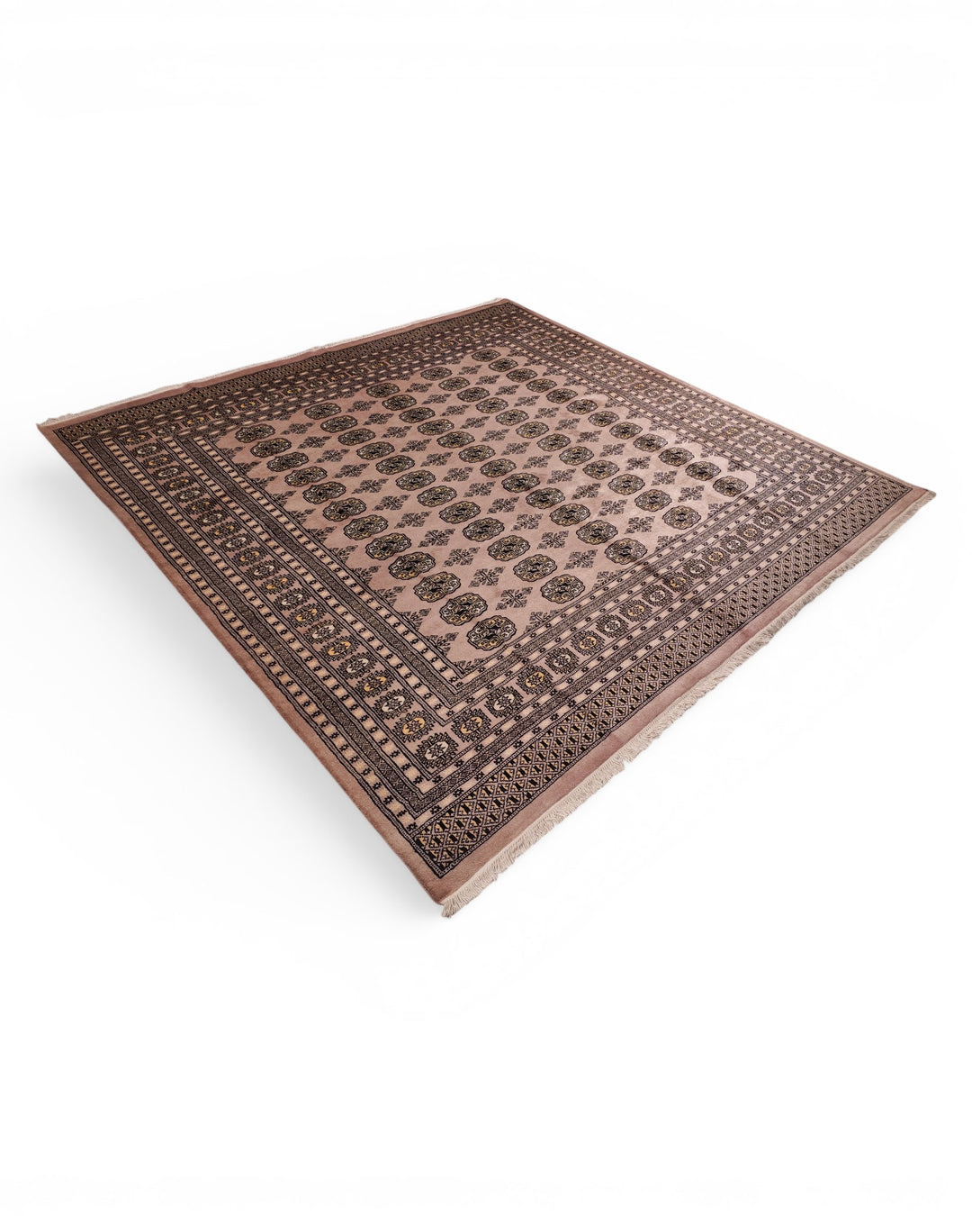 Brown Gul Pakistani Bokhara, Hand-Knotted Wool Rug