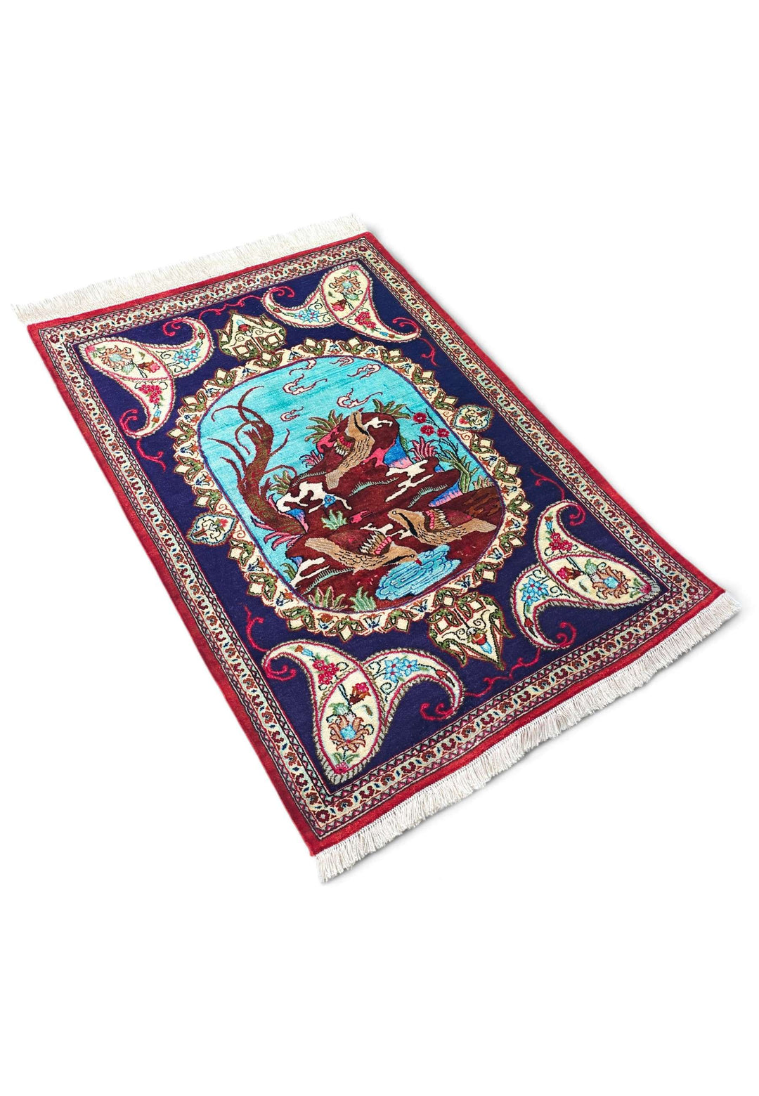 Violet Partridge Qum