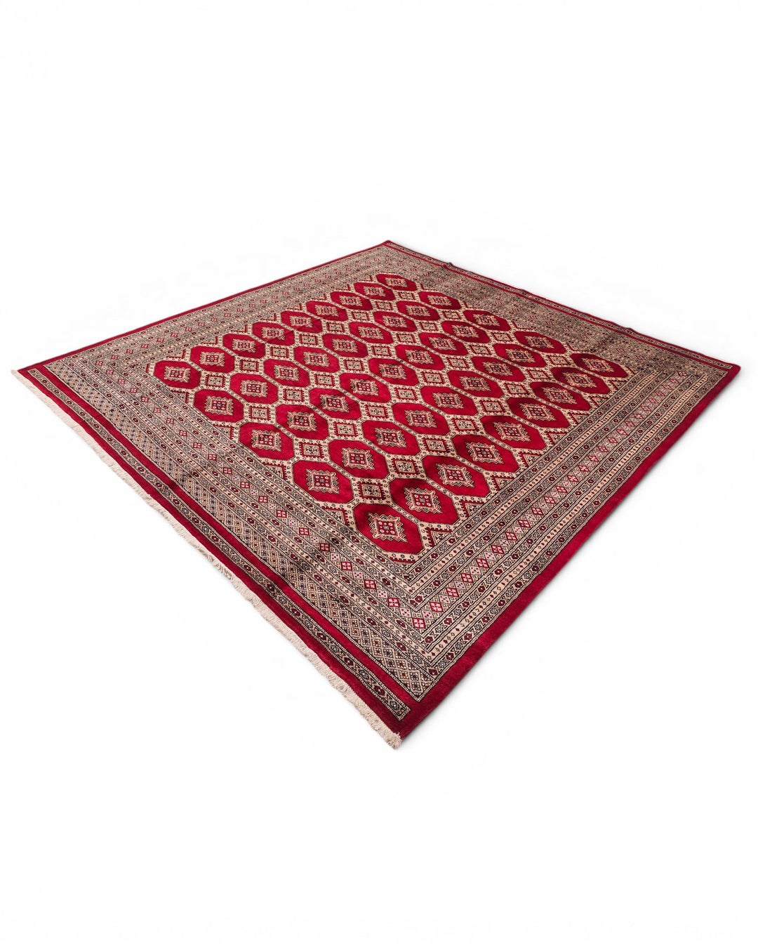 Ruby Gul Pakistani Jaldar, Hand-Knotted Wool Rug