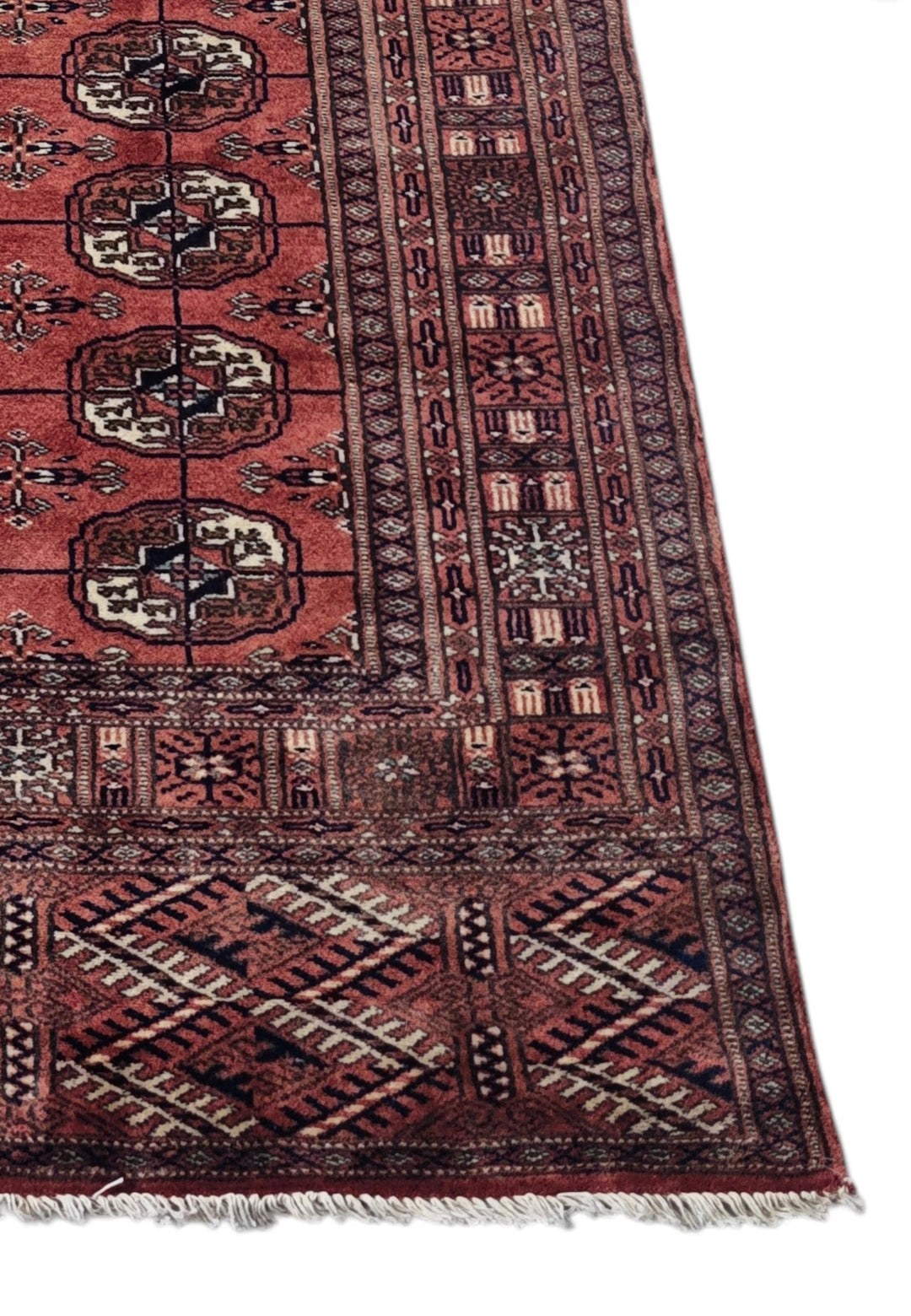 Brick Red and Ivory Turkmen Gül Bokhara, Hand-Knotted Sherwan