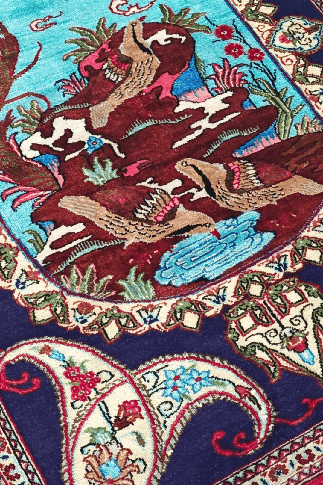 Violet Partridge Qum
