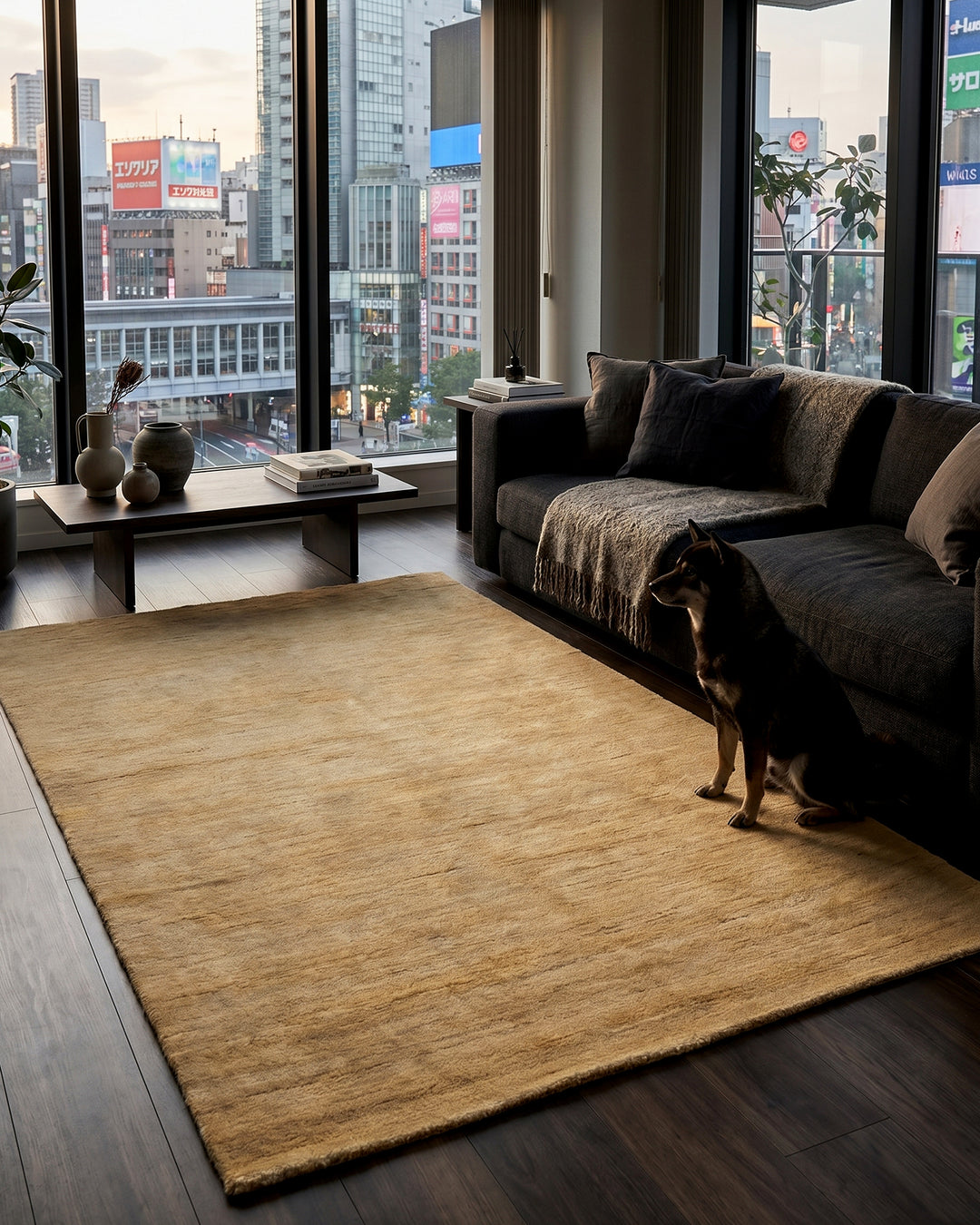 Natural Gabbeh, Hand-Knotted Afghan Wool Rug