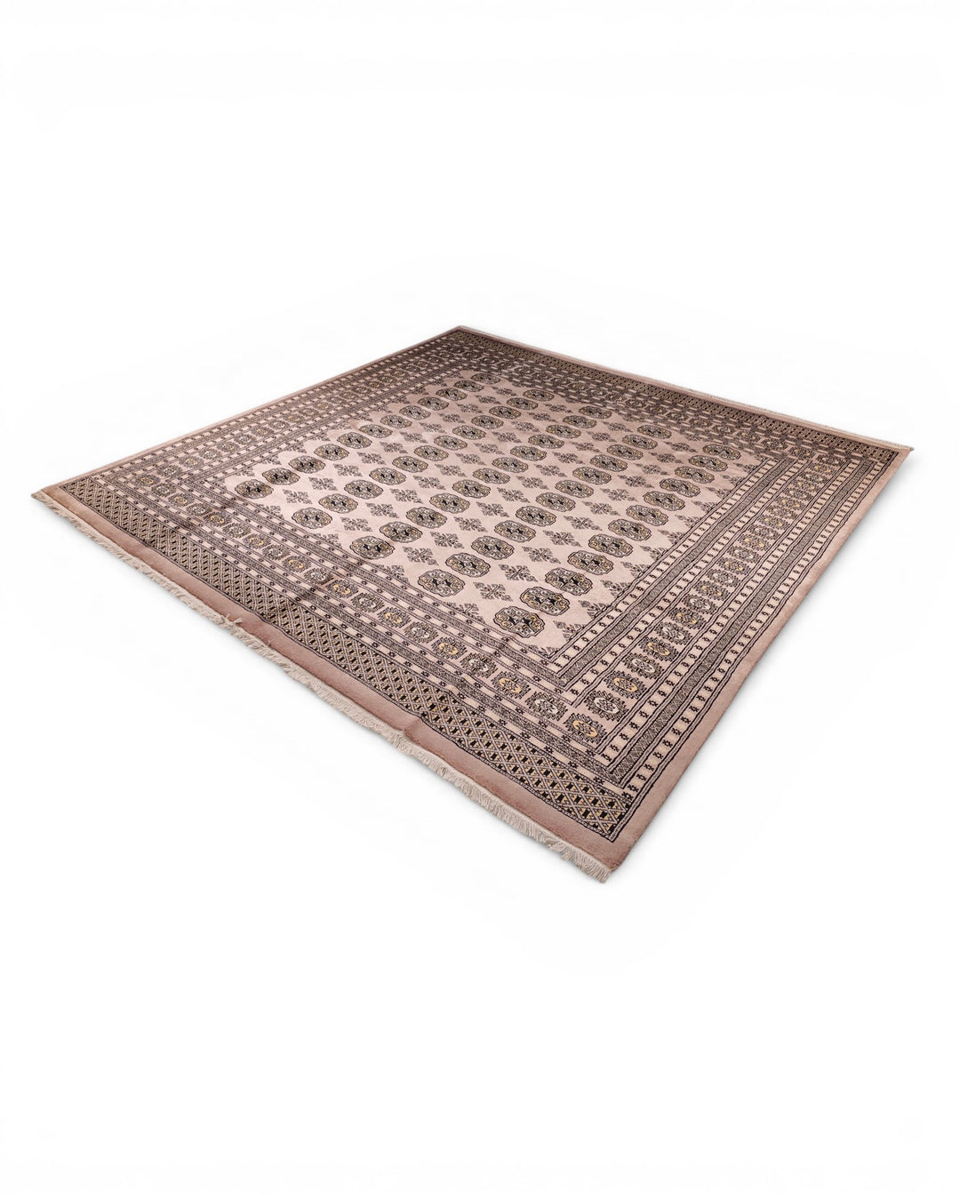 Brown Gul Pakistani Bokhara, Hand-Knotted Wool Rug