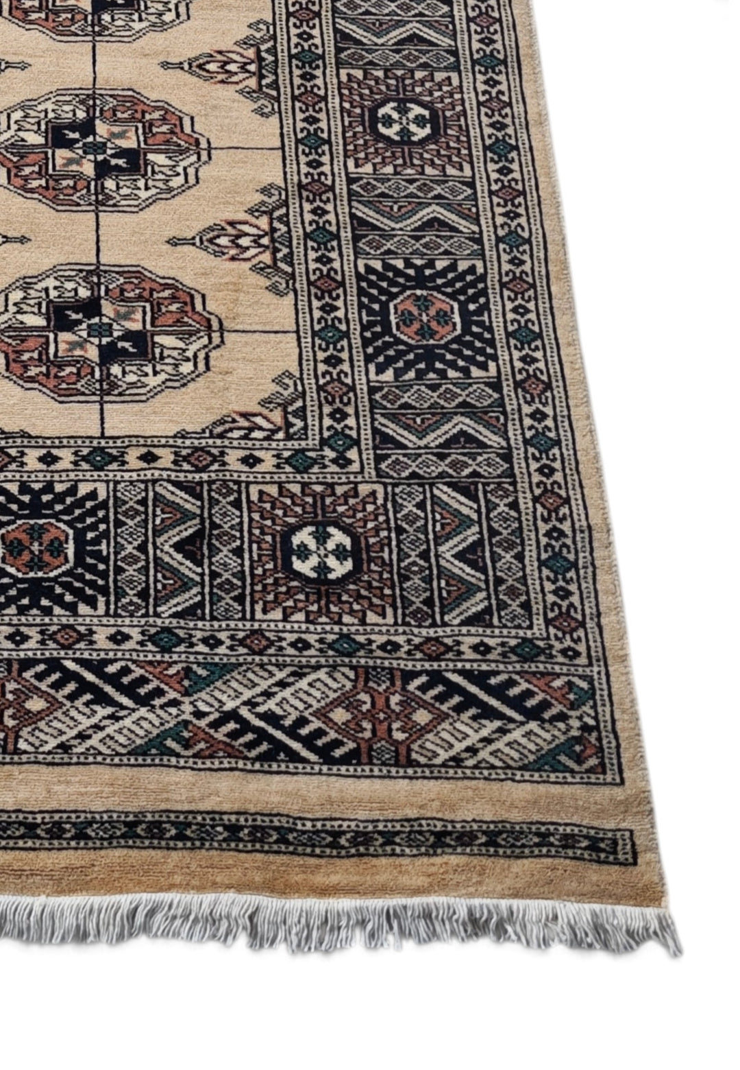 Camel and Navy Turkmen Gül Bokhara, Hand-Knotted Wool Rug