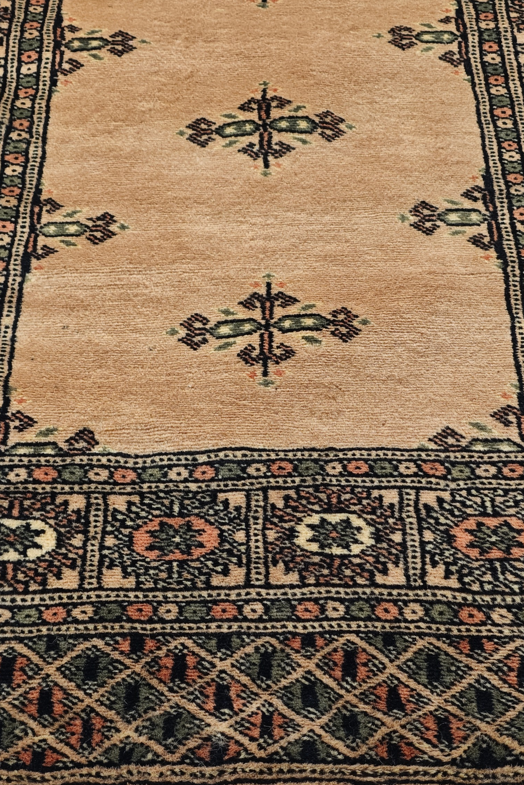 Camel and Espresso Open Field Bokhara, Hand-Knotted Wool Rug