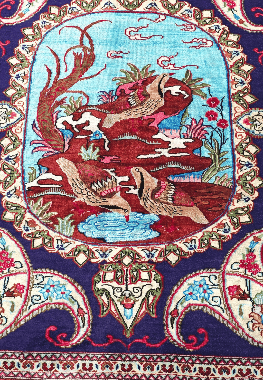 Violet Partridge Qum