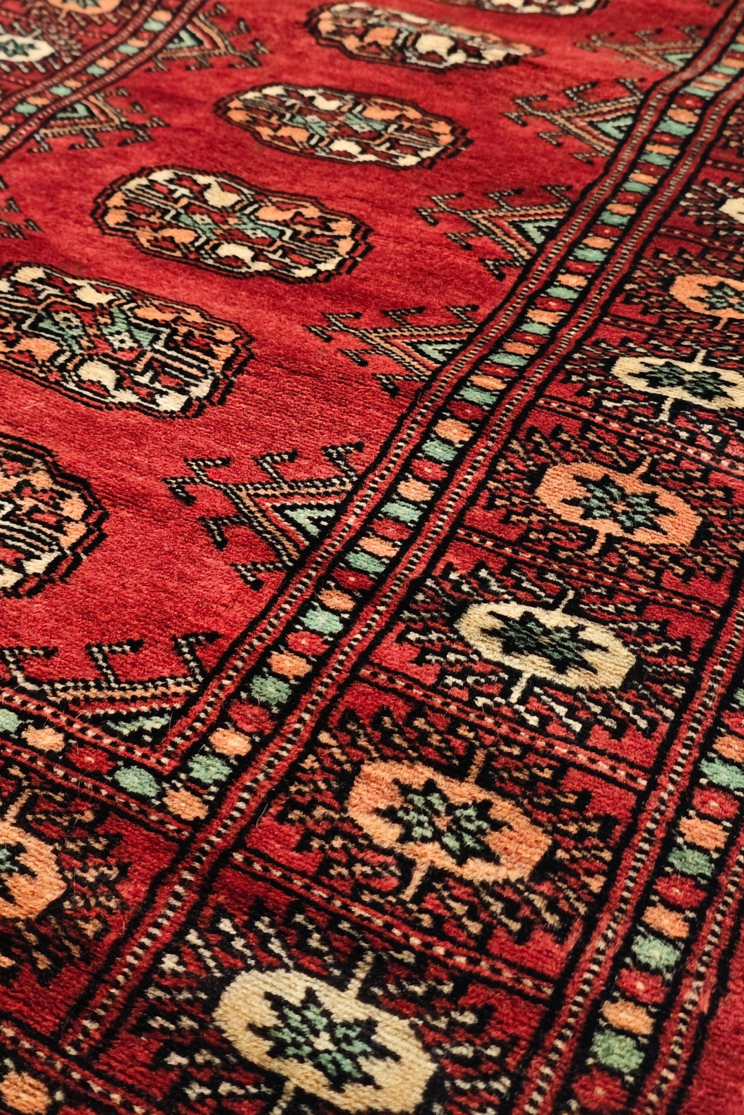 Red and Salmon Turkmen Gül Bokhara, Hand-Knotted Wool Rug