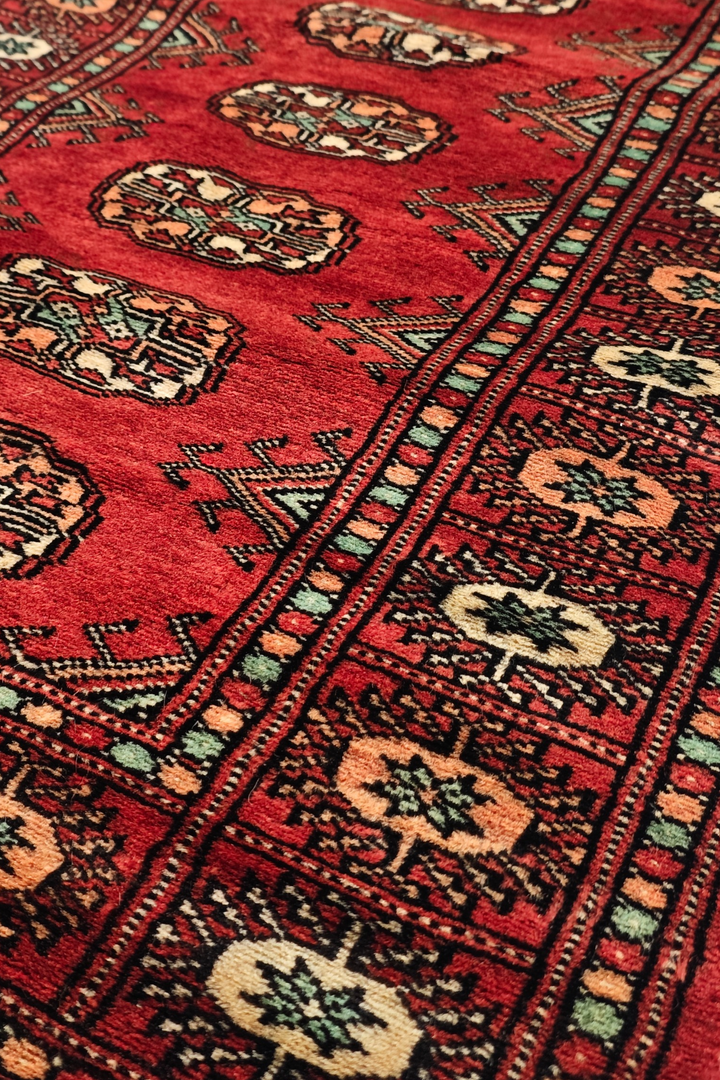 Red and Salmon Turkmen Gül Bokhara, Hand-Knotted Wool Rug