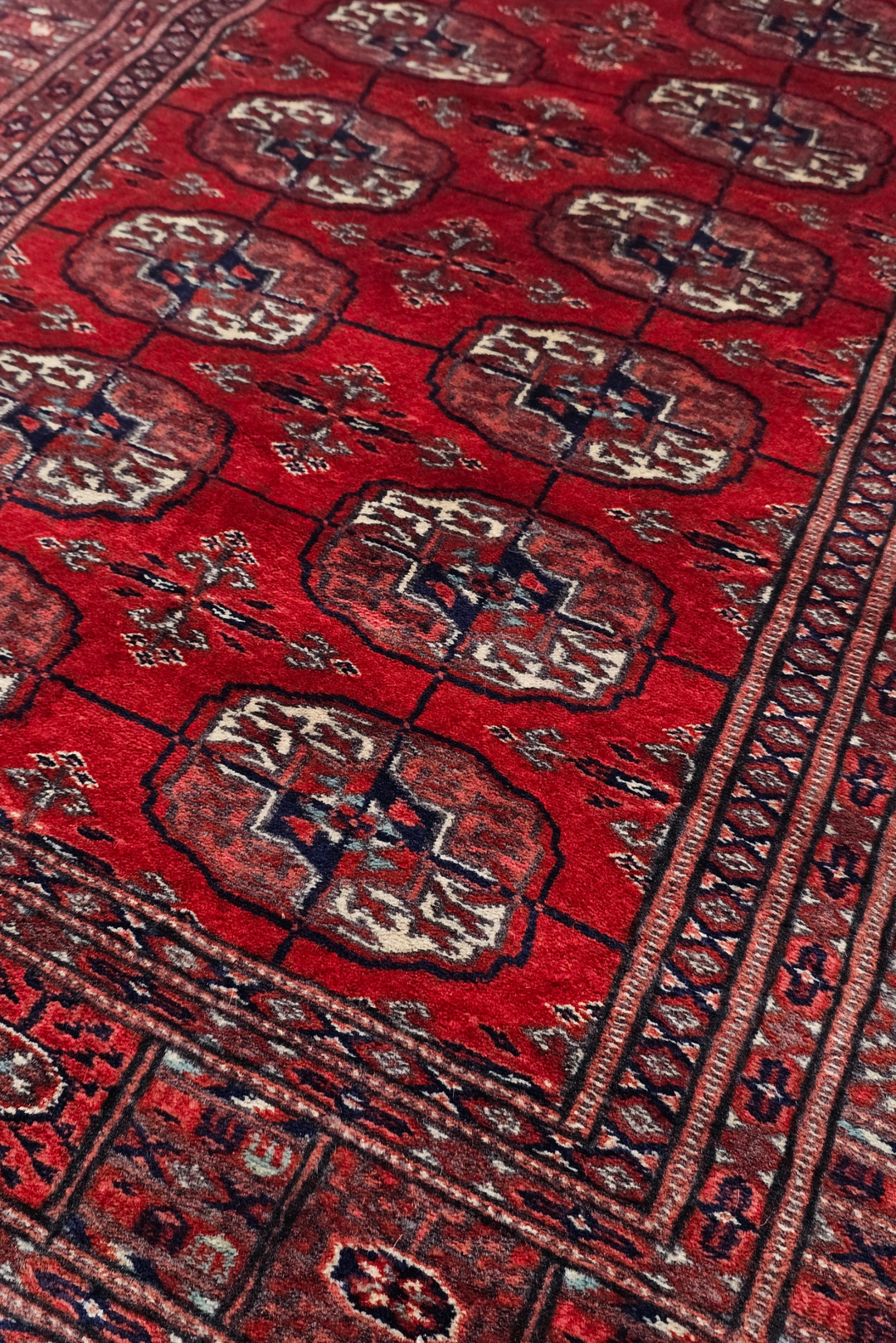Deep Red and Cream Turkmen Gül Bokhara, Hand-Knotted Sherwan