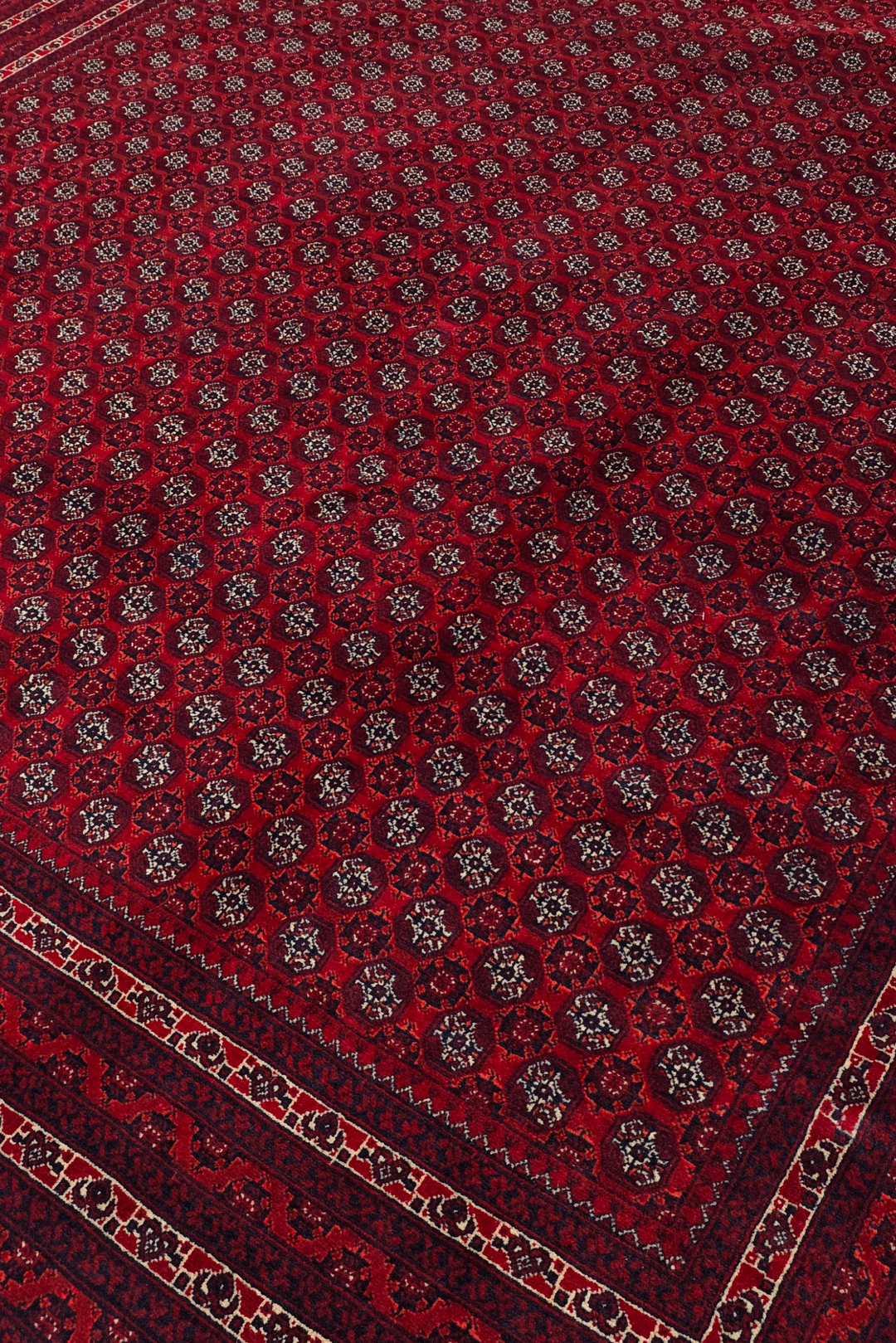 Wine Red Khoja Roshnai, Hand-Knotted Wool Rug
