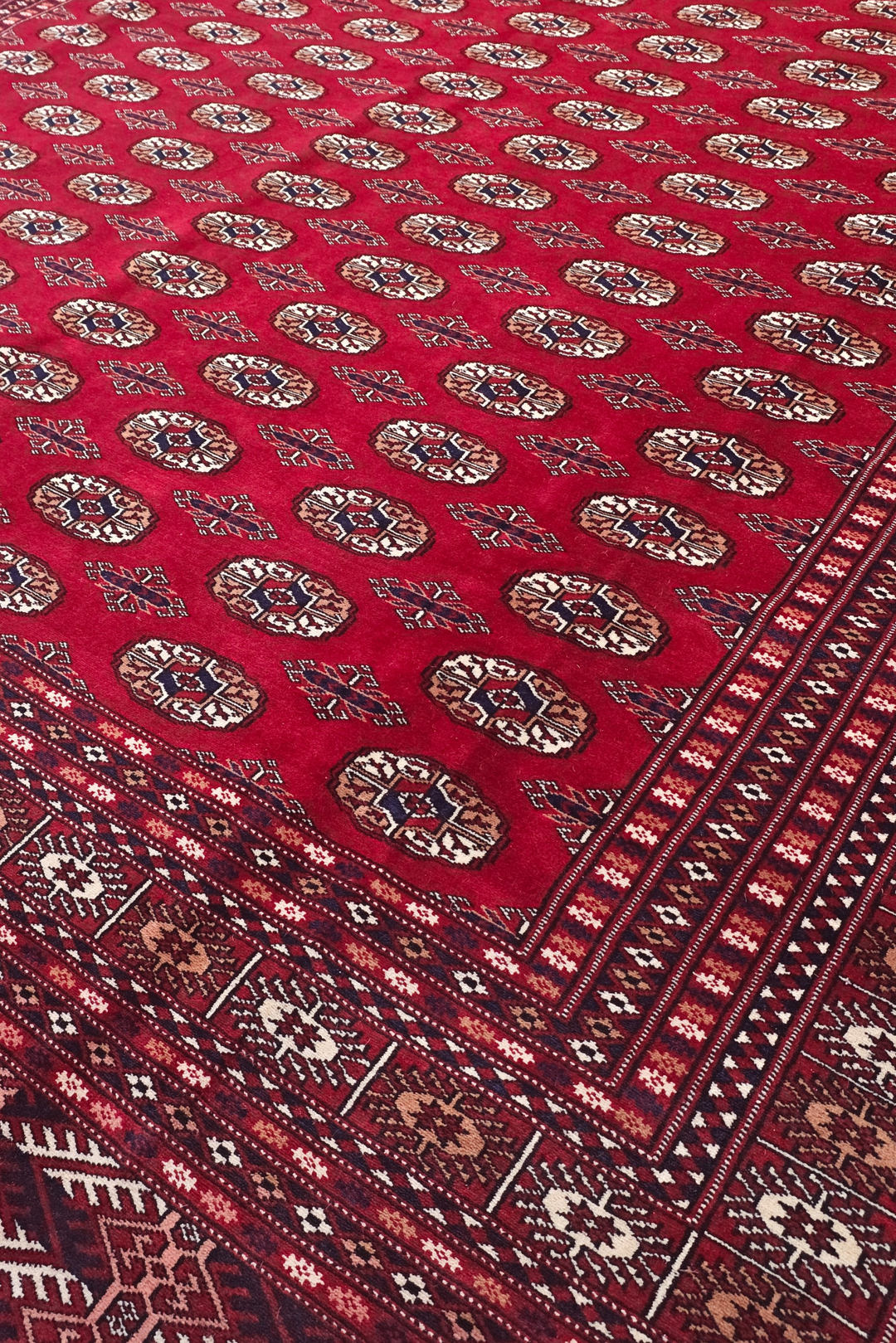 Ruby Red Turkmen Gül Bokhara, Hand-Knotted Wool Rug