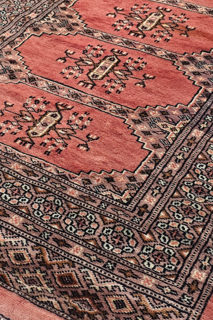 Salmon and Ivory Turkmen Gül Bokhara, Hand-Knotted Wool Rug