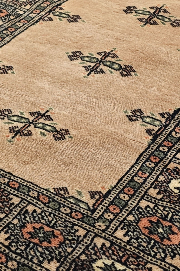 Camel and Espresso Open Field Bokhara, Hand-Knotted Wool Rug