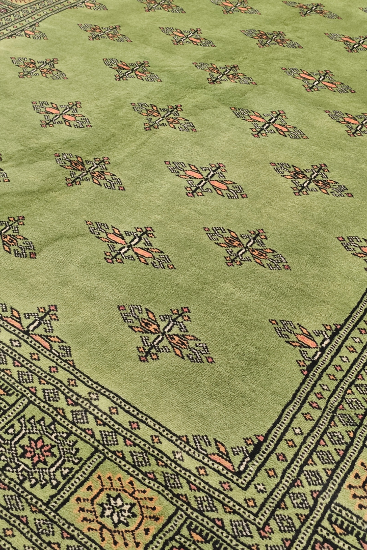 Olive Green Open Field Bokhara, Hand-Knotted Wool Rug