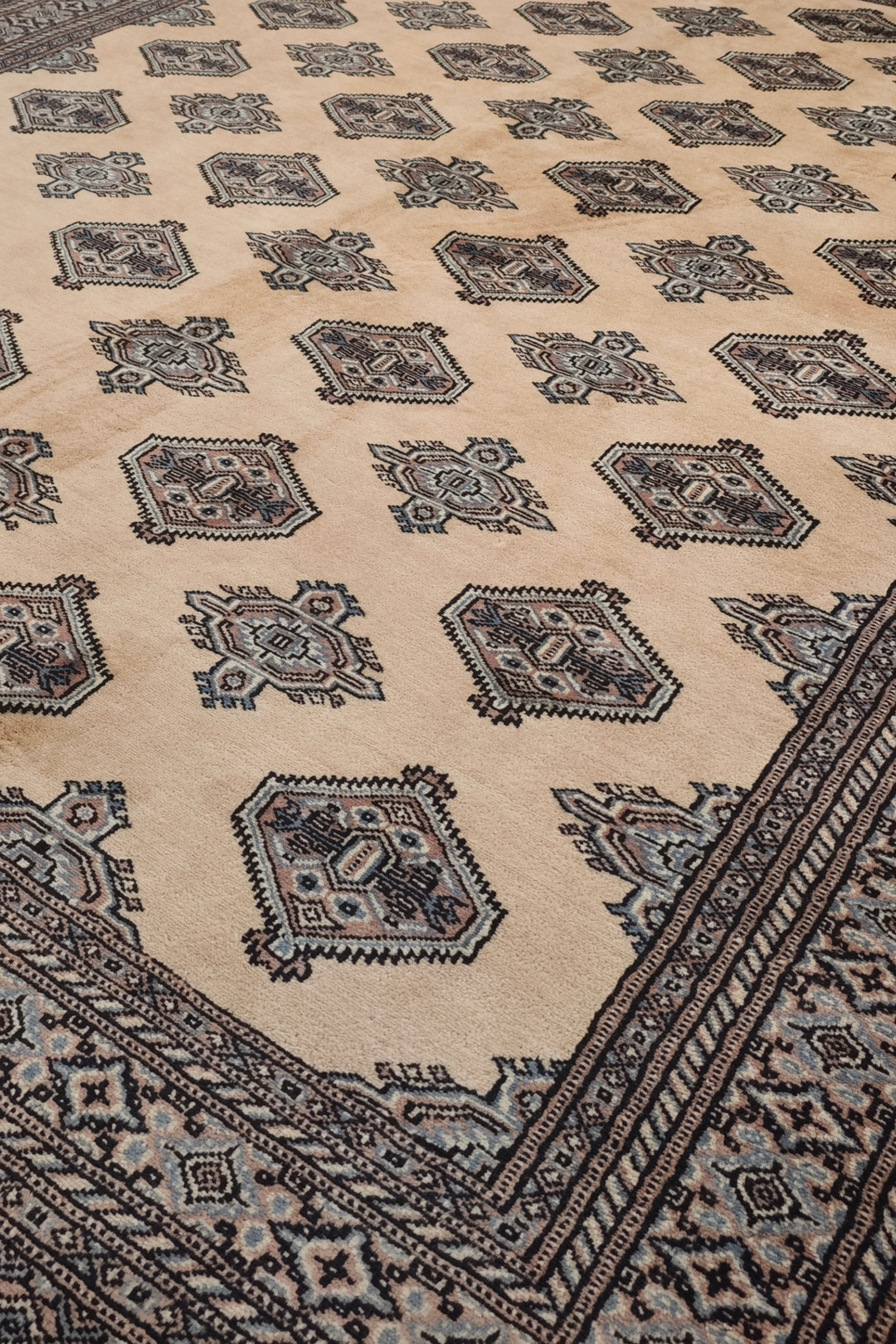 Cream and Espresso Turkmen Gül Bokhara, Hand-Knotted Wool Rug