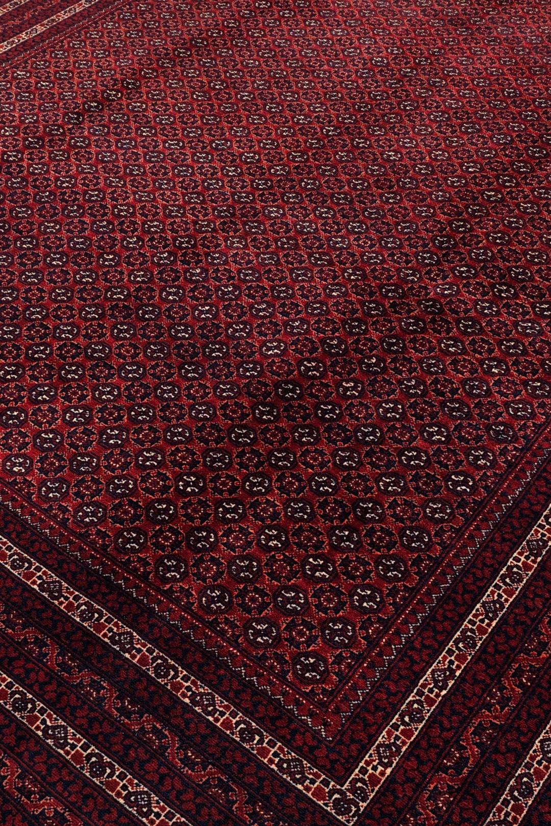 Deep Burgundy Khoja Roshnai, Hand-Knotted Wool Rug