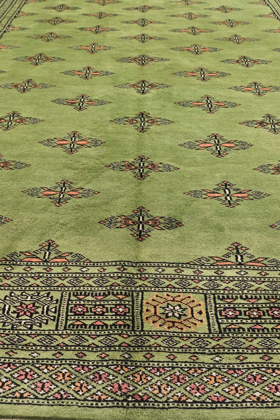 Olive Green Open Field Bokhara, Hand-Knotted Wool Rug