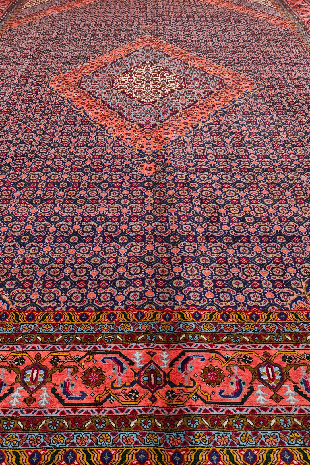 Rose and Indigo Herati Medallion, Hand-Knotted Wool Rug