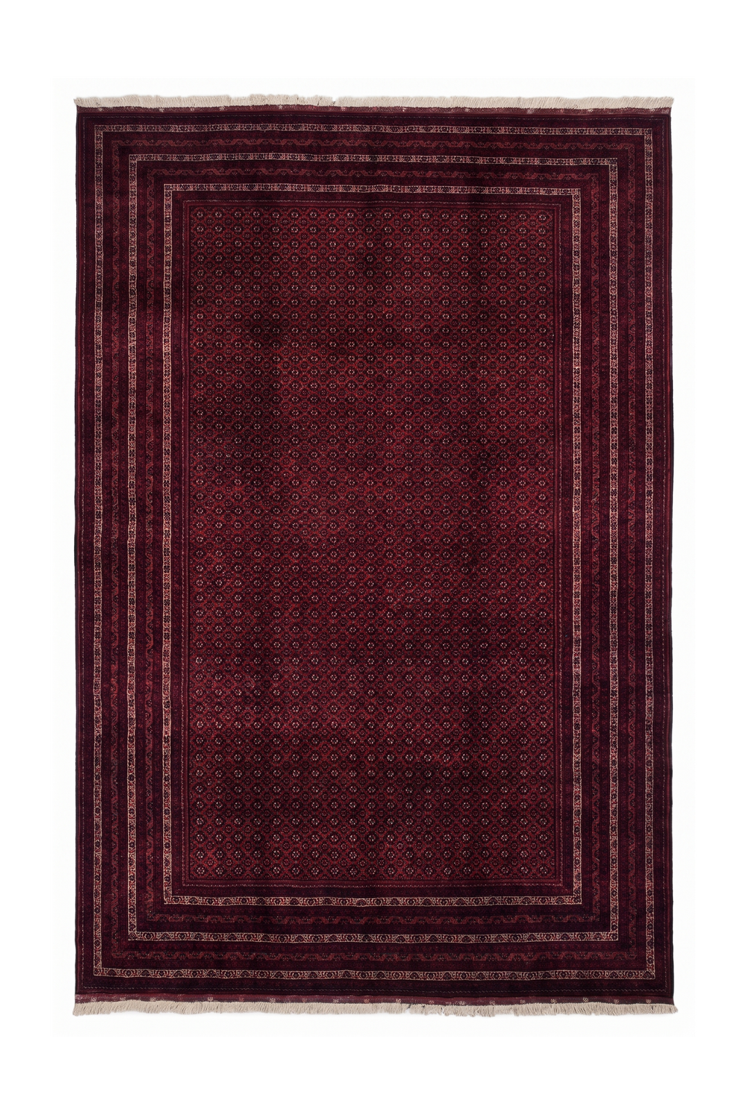 Deep Burgundy Khoja Roshnai, Hand-Knotted Wool Rug