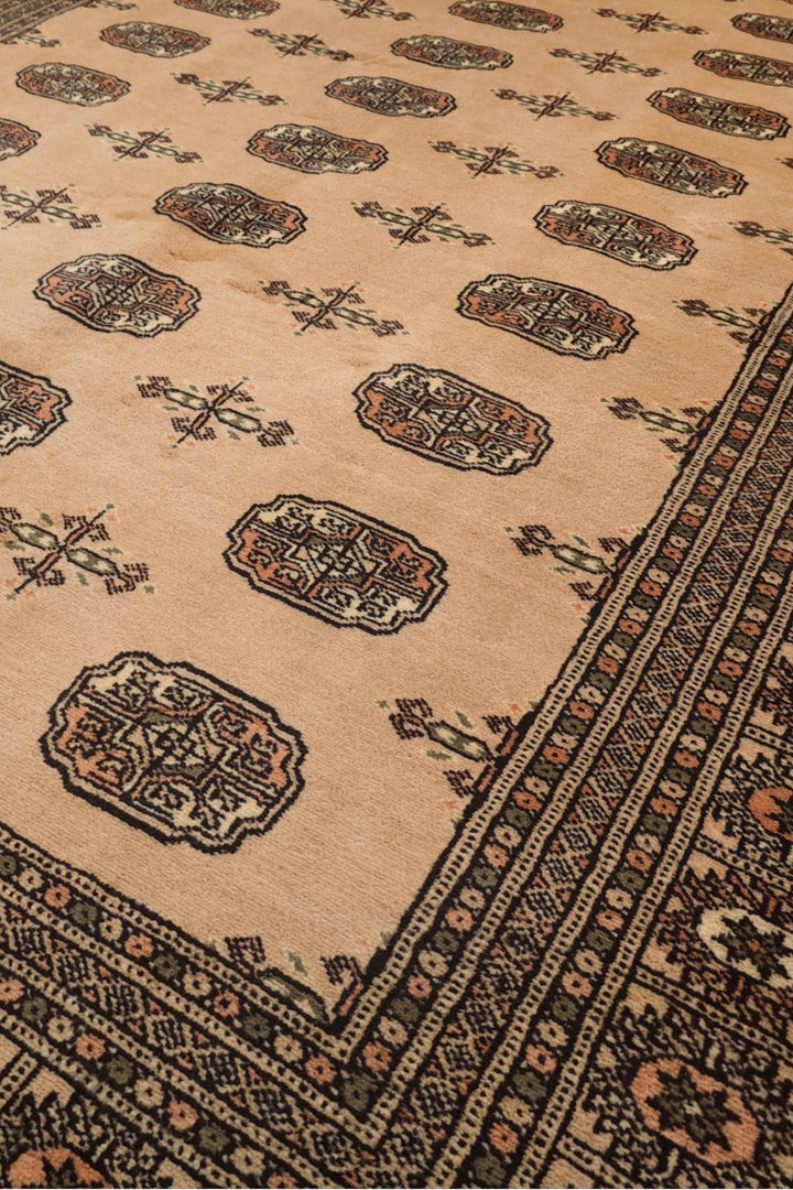 Camel and Mahogany Turkmen Gül Bokhara, Hand-Knotted Wool Rug
