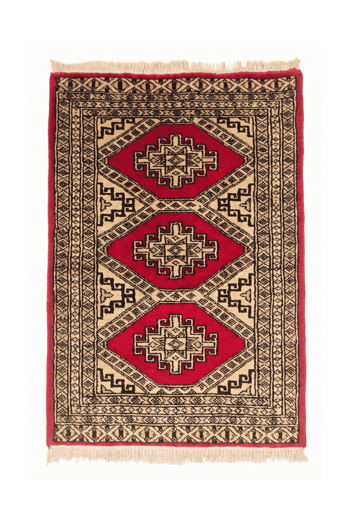 レッドのパキスタン絨毯 ジャルダール（メダリオン柄） 63×95cm・玄関マットの手織りウールラグ